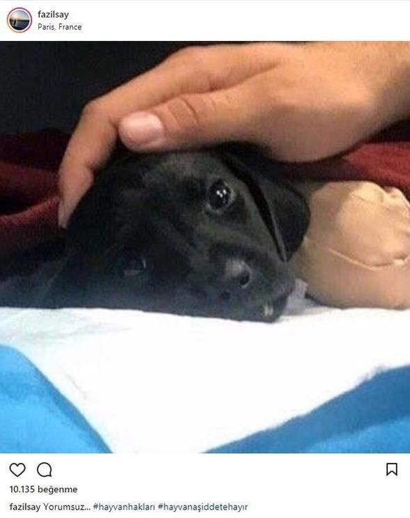 Sapanca’daki vahşete ünlü isimlerden tepki!