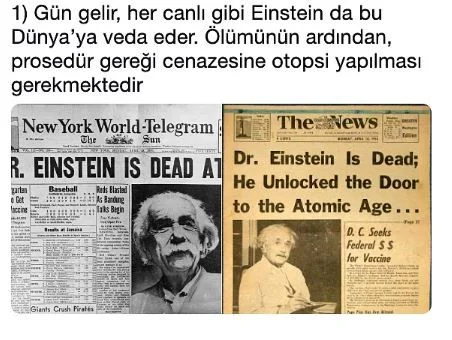 En büyük bilim hırsızı Einstein'ın beynini çaldı!