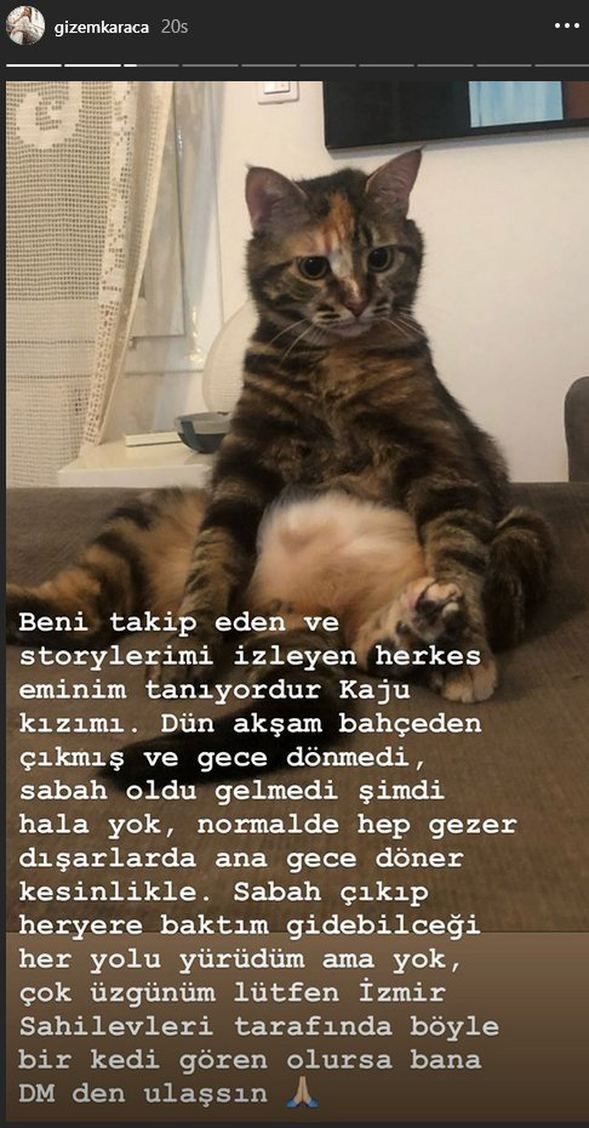 Gizem Karaca'nın acı günü!