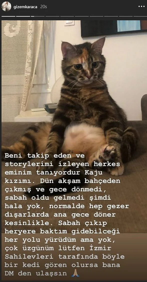 Gizem Karaca'nın acı günü!