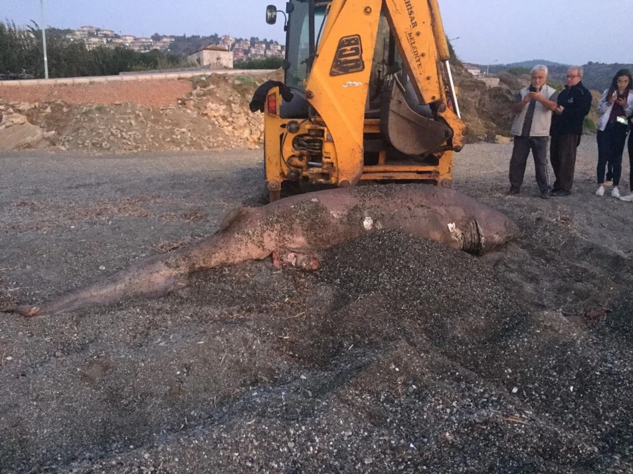 İzmir'de şaşırtan görüntü
