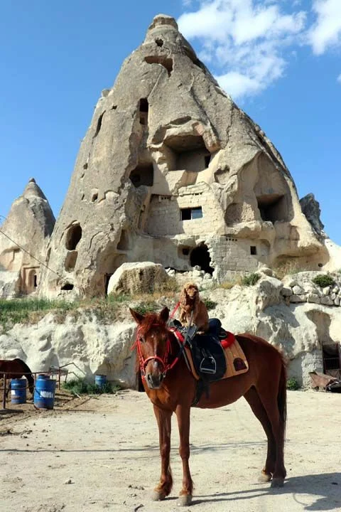 Köpeğin at sürme keyfi!