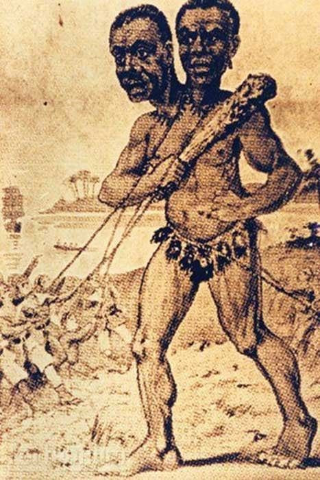 İki başlı dev mumyasının sırrı