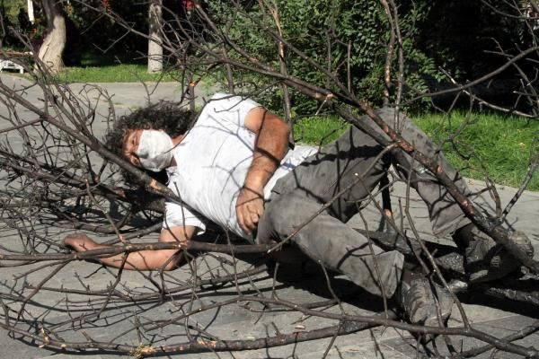 Profesörden yanmış ağaçla dikkat çeken eylem