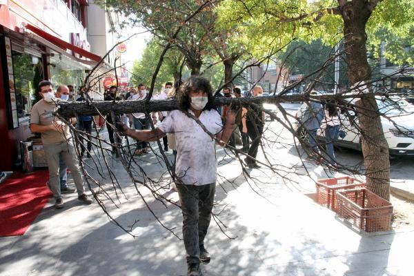 Profesörden yanmış ağaçla dikkat çeken eylem