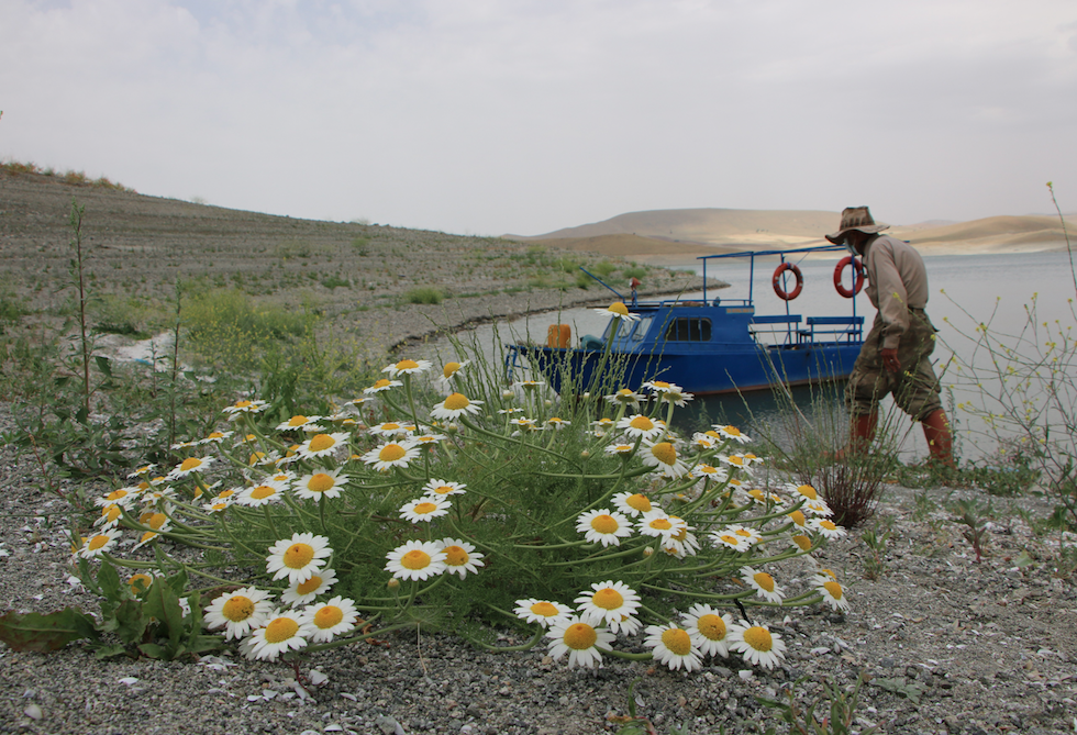 Tunceli'de sevindiren görüntü! Sular yükseldi