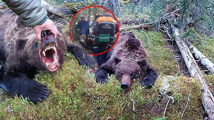 Dünya bu olayı konuşuyor: Ayı, 16 yaşındaki çocuğu canlı canlı yedi!