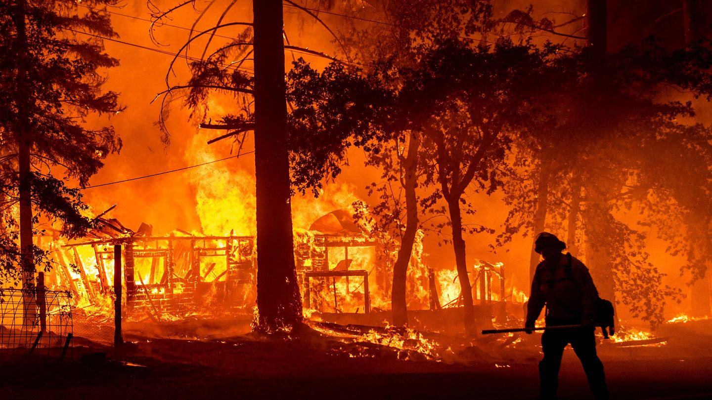 ABD: &#39;Ülke tarihinin en büyük orman yangınları&#39; kontrol altına alınamıyor |  Euronews