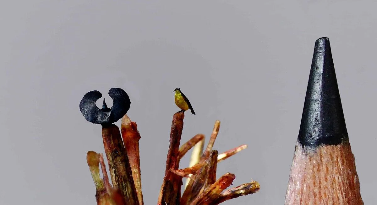 Fransız sanatçı kurşun kalemlerin ucunu sanat eserine dönüştürüyor