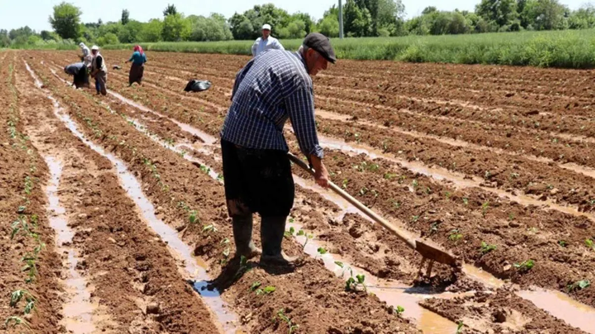 Çiftçilere Mazot Desteği ne kadar, ne zaman ödenecek 2022? Çiftçiye Mazot  ve Gübre Desteği nedir, kimler yararlanabilir, kaç TL destek verilecek? -  Haberler