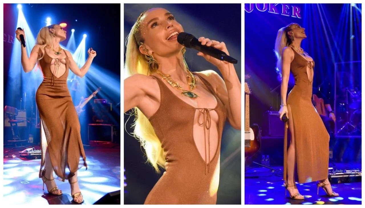 Yapılan eleştirileri umursamadı! Gülşen sahneye iç gösteren derin dekolteli ve yırtmaçlı elbiseyle çıktı