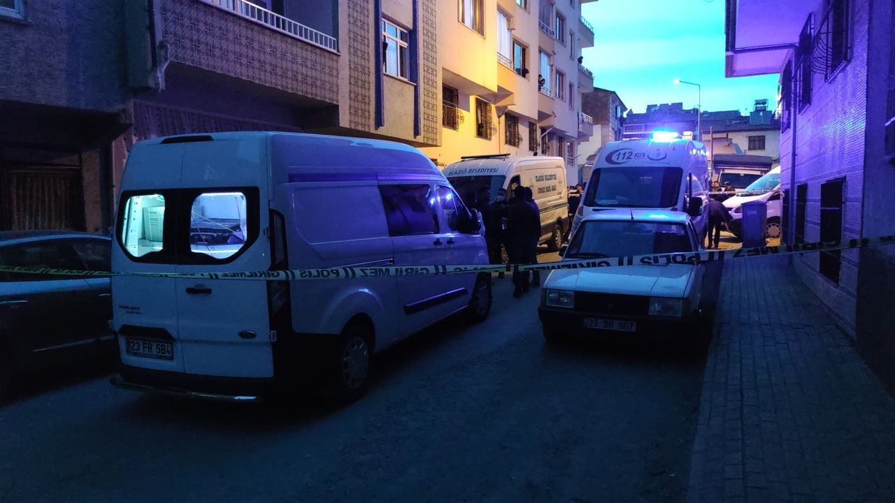 Cinnet getiren damat dehşet saçtı!
