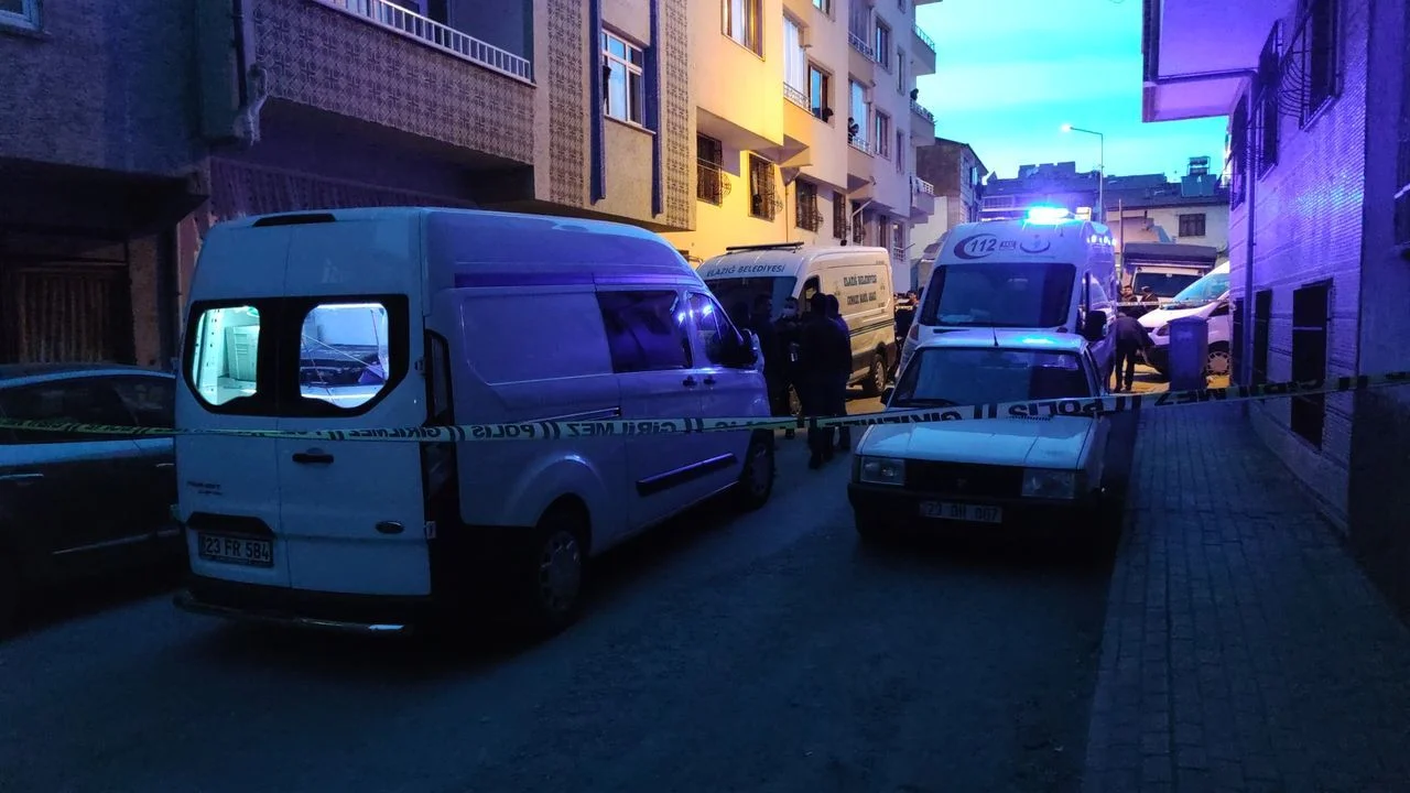 Cinnet getiren damat dehşet saçtı!