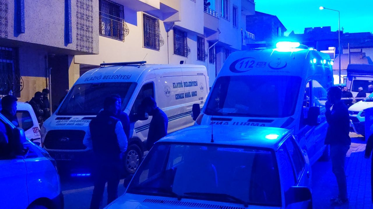 Cinnet getiren damat dehşet saçtı!
