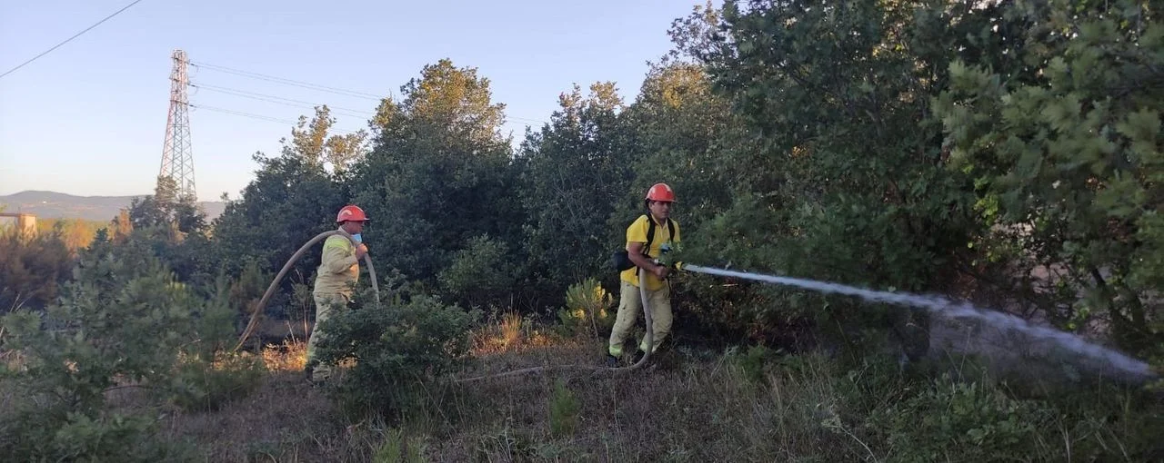 Çanakkale Biga'da orman yangını! Müdahale havadan ve karadan devam ediyor
