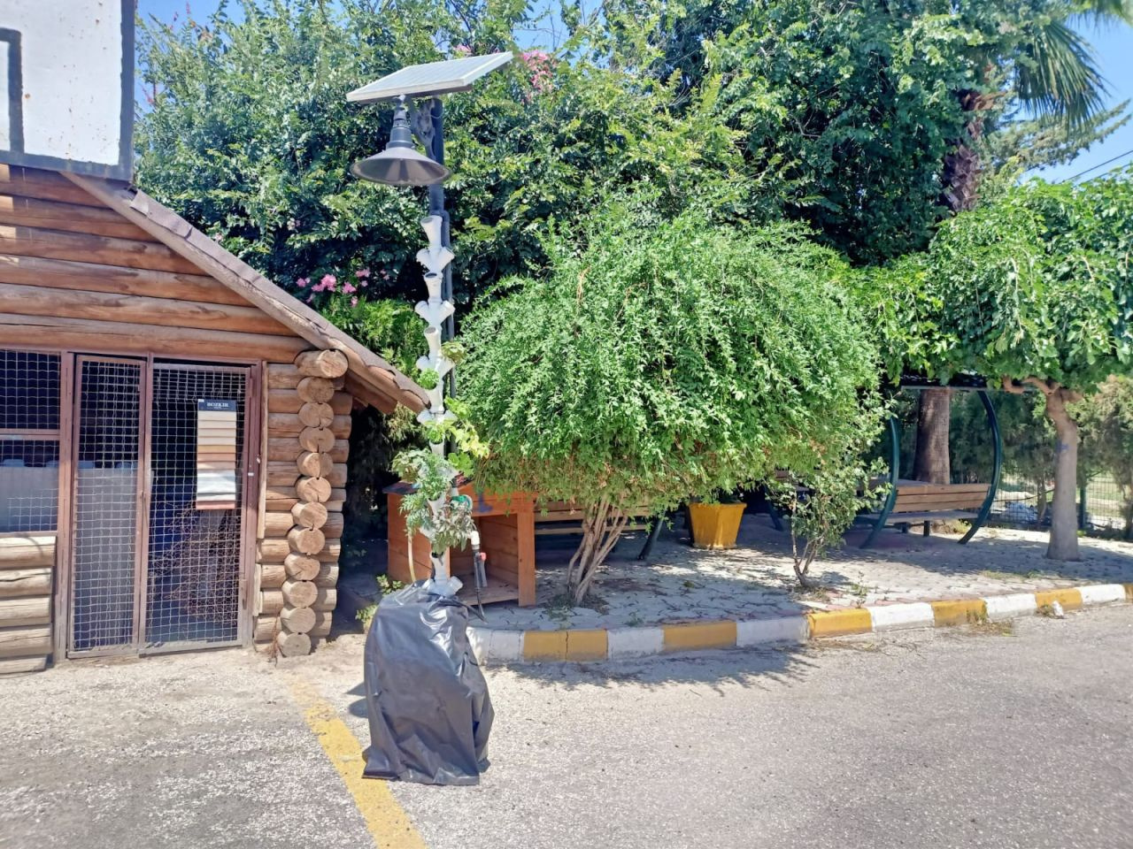 Hatay'da dikey tarım projesi ile topraksız ve düşük maliyetle bitki yetiştiriliyor
