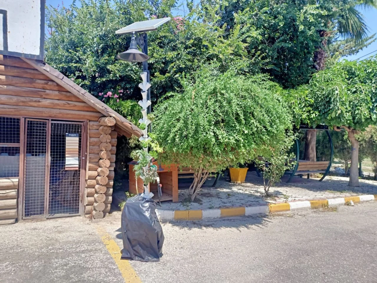Hatay'da dikey tarım projesi ile topraksız ve düşük maliyetle bitki yetiştiriliyor