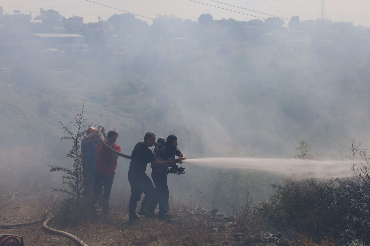 Kocaeli'de ormanlık alanda yangın çıktı, 4 hektar küle döndü