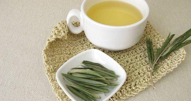 Zeytin yaprağı kalbin dostu! İşte zeytin yaprağının mucizevi faydaları…