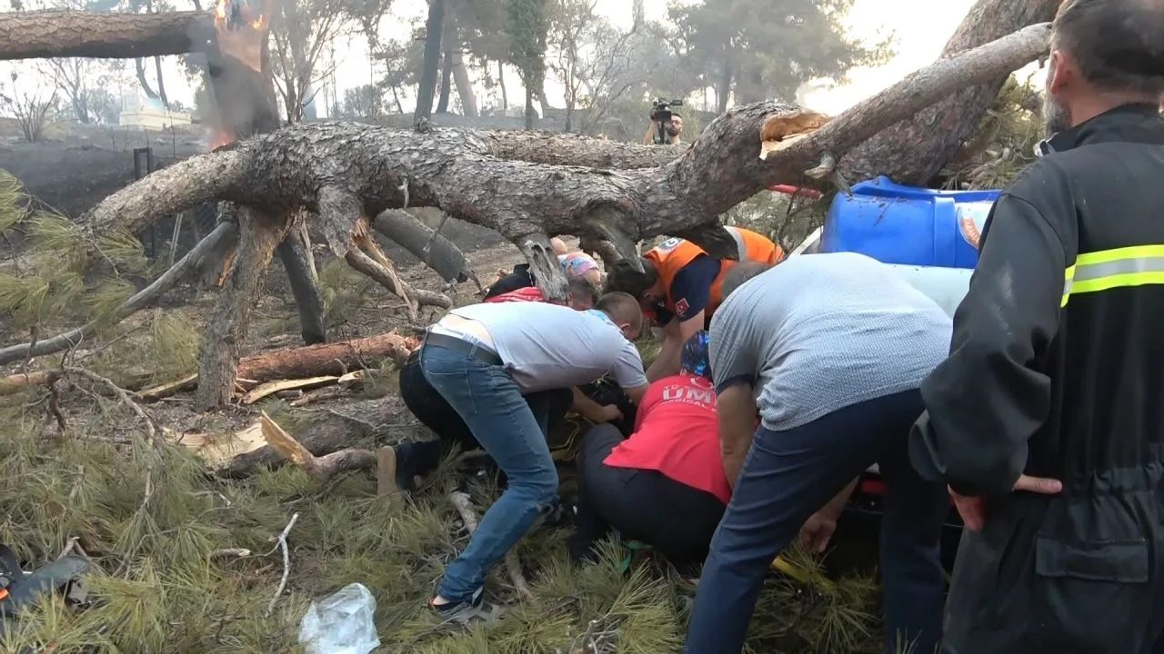 Çanakkale'de orman yangını! Alevlere müdahale eden görevlinin üzerine ağaç devrildi