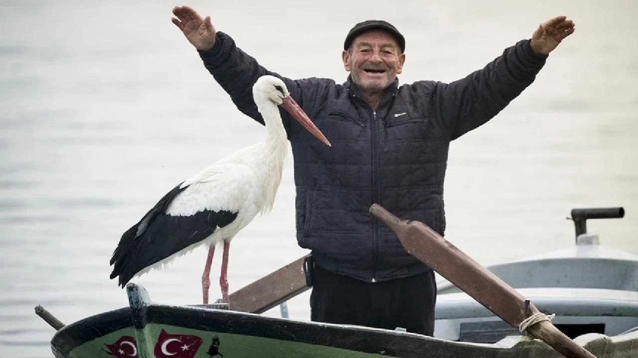 Balıkçı Adem amca ile 13 yıllık dostu Leylek bu yılda kavuştu! Leylekten görülmemiş vefa ve dostluk...