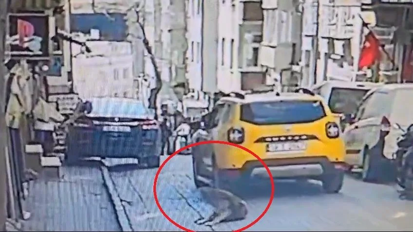 Balıkesir'de kan donduran olay: Uyuyan köpeği aracıyla ezerek öldürdü yoluna devam etti! İşte o anlar!