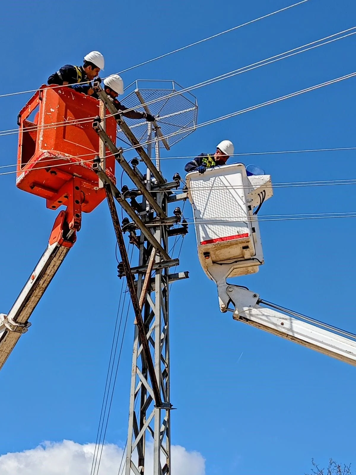 Edirne’de leylekler için elektrik direklerine özel yuvalar kuruldu