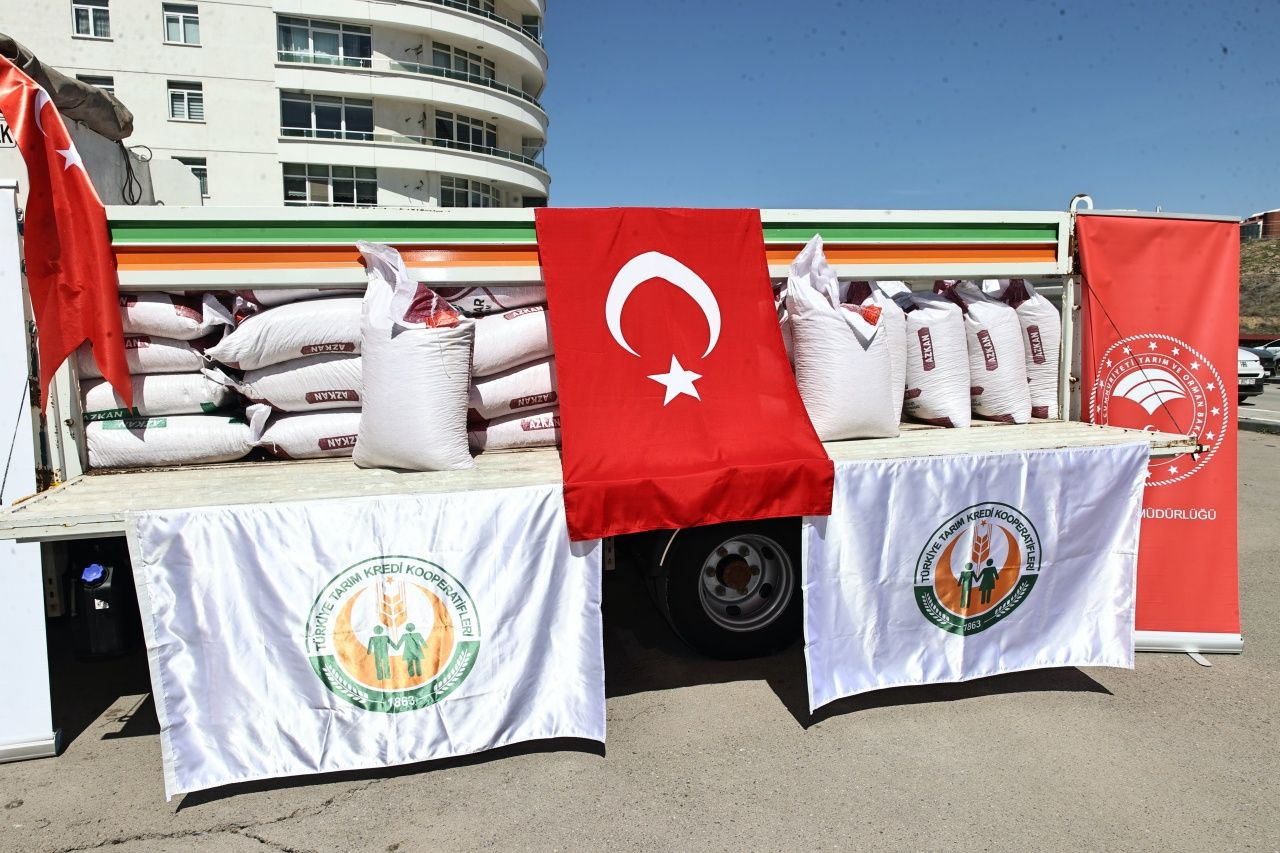 Sivas’ta çiftçilere dev destek: 285 ton nohut tohumu dağıtıldı