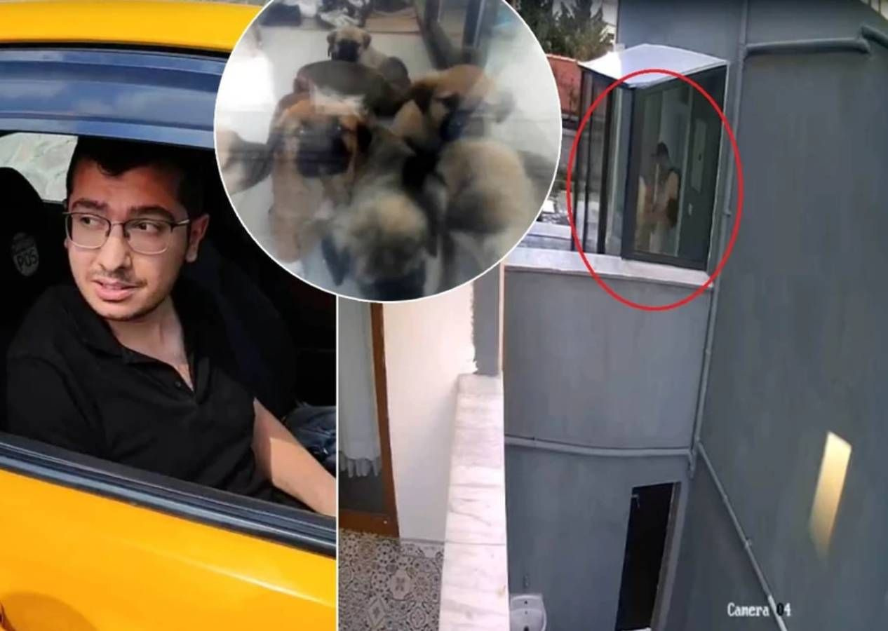 Köpek sapığı doktor Muhammet Mustafa Duman'ın telefonundan 43 bin müstehcen görüntü çıktı