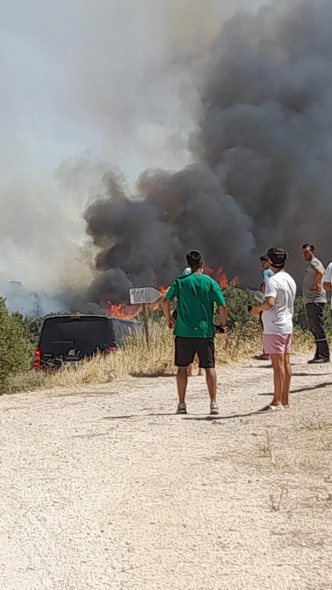 Çeşme'de yangın büyüdü, yazlık evler tahliye edildi, 5 uçak ve 18 helikopterle müdahale sürüyor