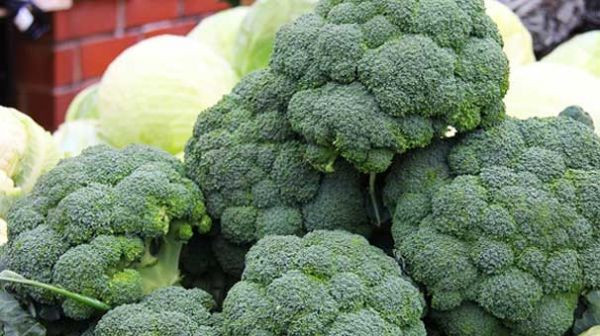 rusya-sogan-karnabahar-brokoli-ve-karanfil-yasagini-kaldirdi-8710858