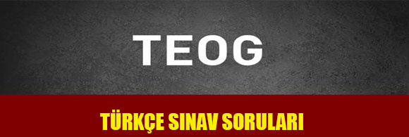 TEOG_TARKAE_SORULARI