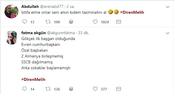 diren1