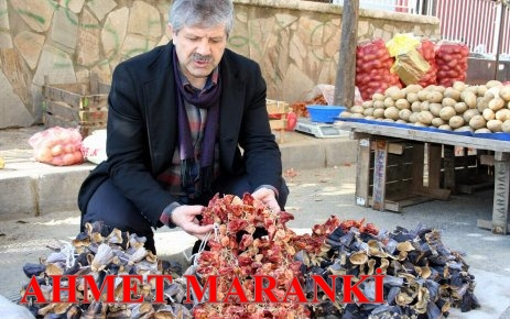 ahmet_maranki_kim